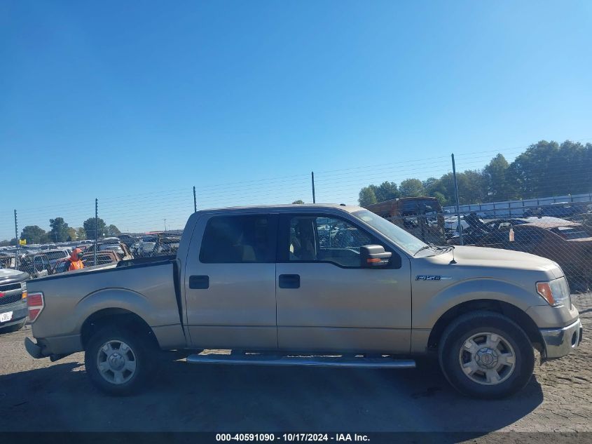 2013 FORD F150 VIN: 1FTFW1CF4DFB01625