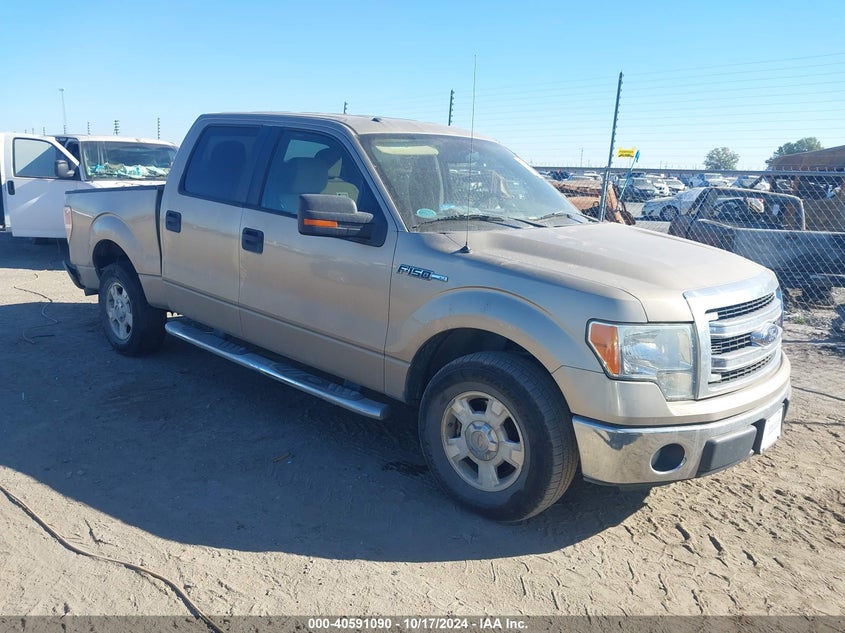 2013 FORD F150 VIN: 1FTFW1CF4DFB01625