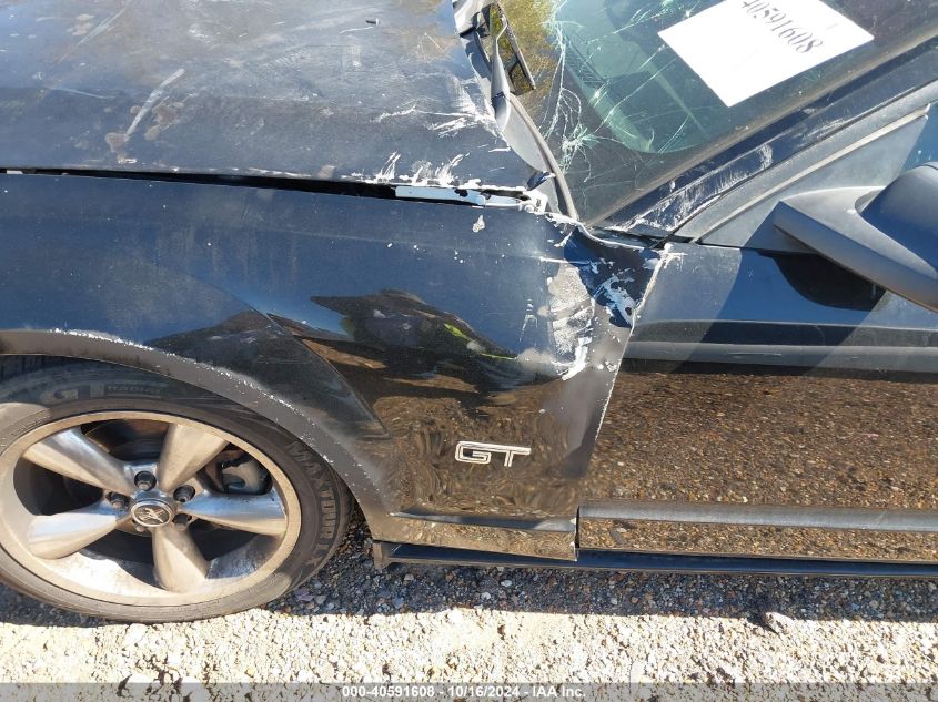 2006 Ford Mustang Gt VIN: 1ZVHT82H765201396 Lot: 40591608