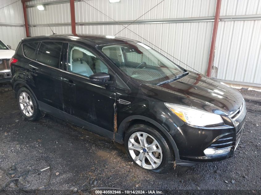 2013 Ford Escape Sel VIN: 1FMCU0HX5DUD12019 Lot: 40592946