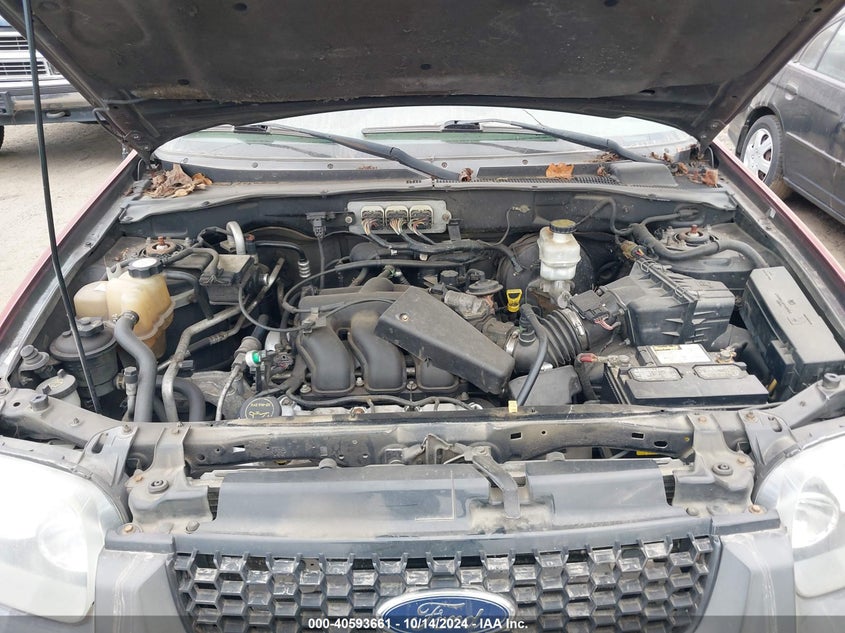 2007 Ford Escape Xlt VIN: 1FMYU93187KB96845 Lot: 40593661