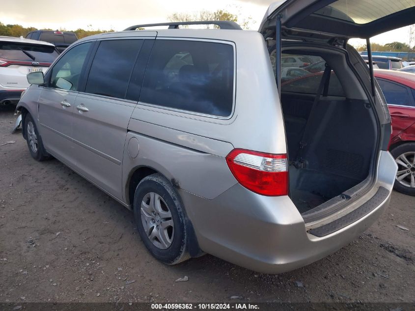 2007 Honda Odyssey Ex-L VIN: 5FNRL38767B084046 Lot: 40596362