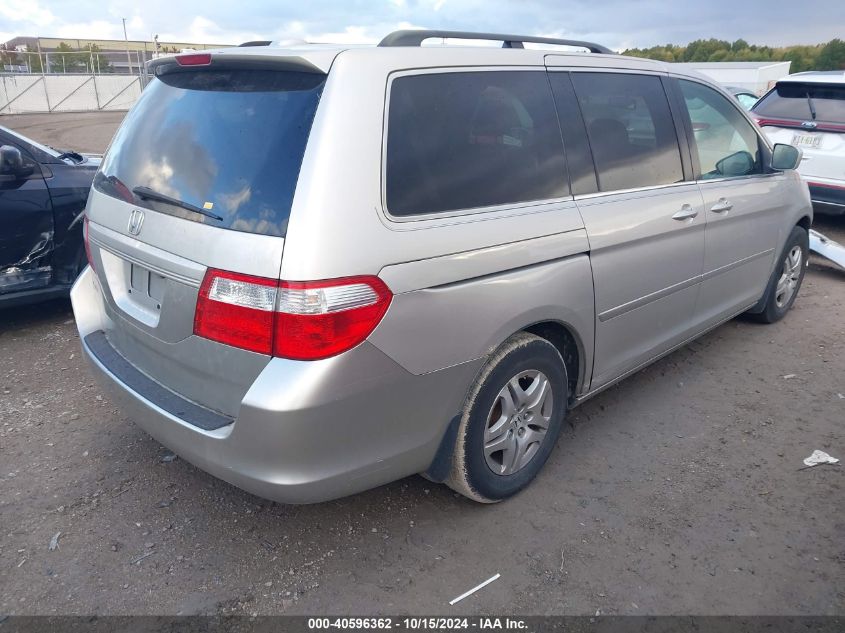 2007 Honda Odyssey Ex-L VIN: 5FNRL38767B084046 Lot: 40596362