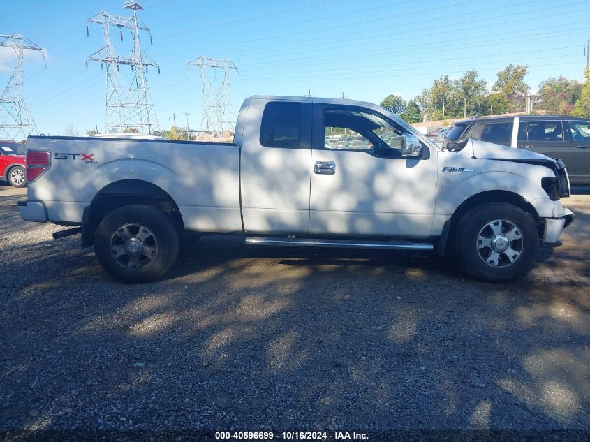 2010 Ford F-150 Stx VIN: 1FTEX1EW5AFD60450 Lot: 40596699