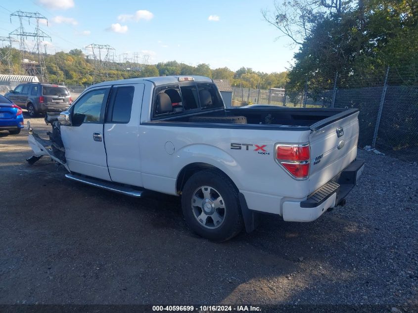 2010 Ford F-150 Stx VIN: 1FTEX1EW5AFD60450 Lot: 40596699