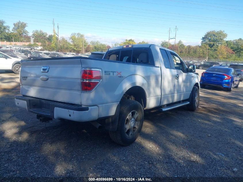 2010 Ford F-150 Stx VIN: 1FTEX1EW5AFD60450 Lot: 40596699