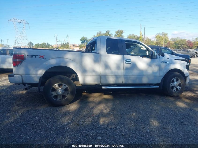 2010 Ford F-150 Stx VIN: 1FTEX1EW5AFD60450 Lot: 40596699