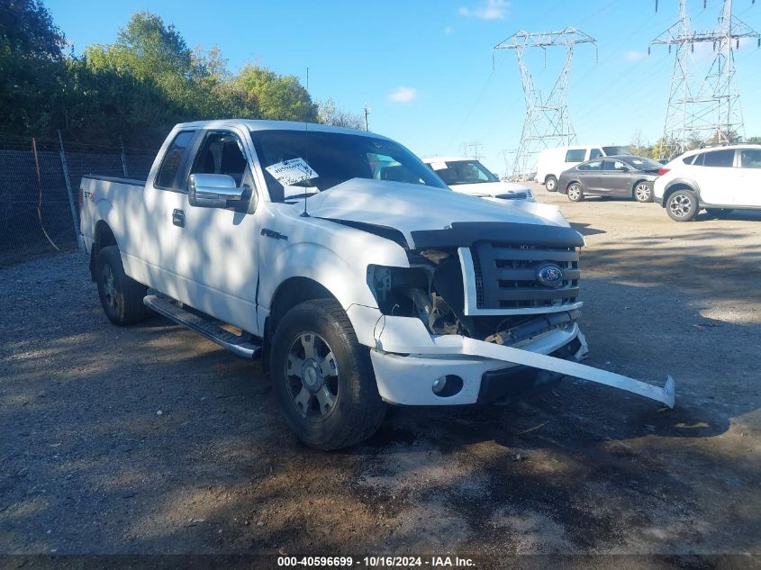 2010 Ford F-150 Stx VIN: 1FTEX1EW5AFD60450 Lot: 40596699