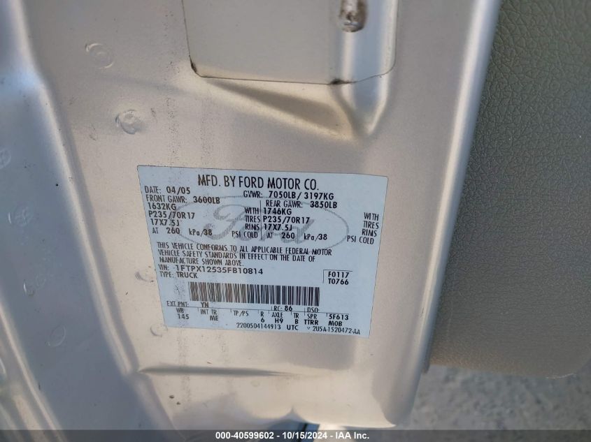 2005 Ford F-150 Lariat/Xl/Xlt VIN: 1FTPX12535FB10814 Lot: 40599602