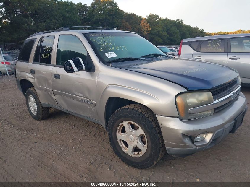 2002 Chevrolet Trailblazer Ls VIN: 1GNDT13S322454883 Lot: 40600834