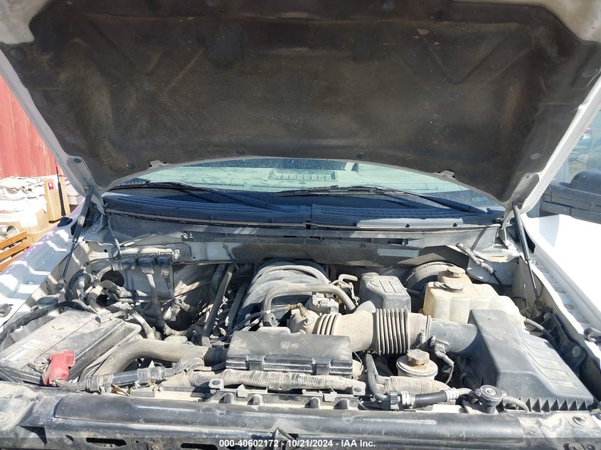 2009 Ford F-150 Xl/Xlt VIN: 1FTRW12829KB44066 Lot: 40602172