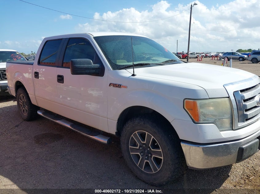 2009 Ford F-150 Xl/Xlt VIN: 1FTRW12829KB44066 Lot: 40602172