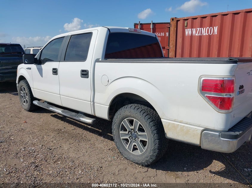 2009 Ford F-150 Xl/Xlt VIN: 1FTRW12829KB44066 Lot: 40602172