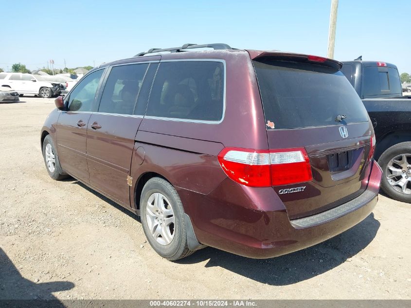 2007 Honda Odyssey Ex-L VIN: 5FNRL38787B077874 Lot: 40602274