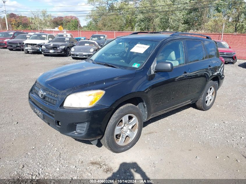 2010 Toyota Rav4 VIN: JTMBF4DVXAD031206 Lot: 40603266