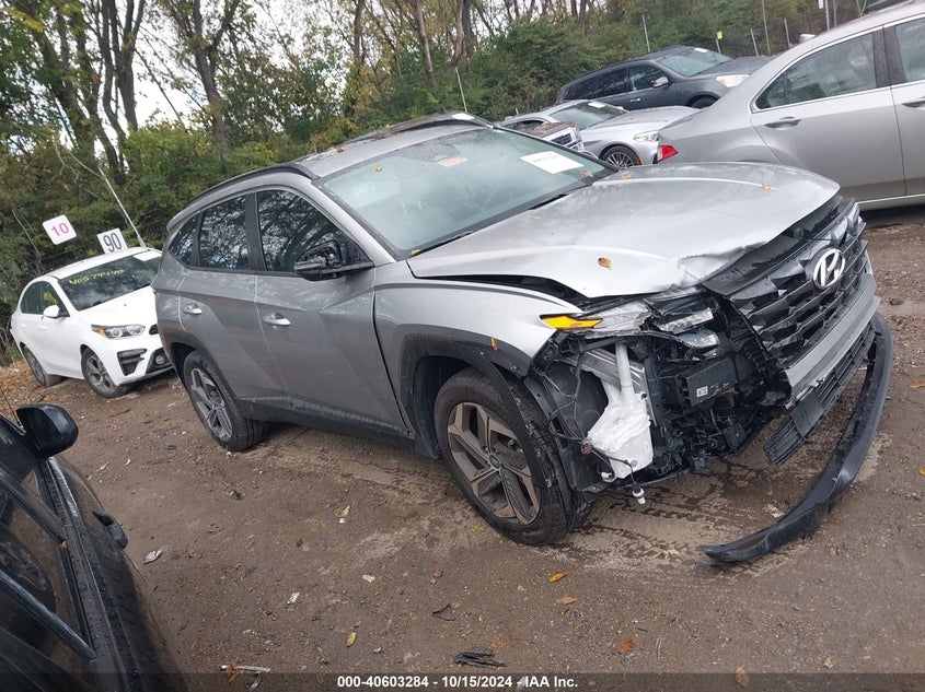 2024 HYUNDAI TUCSON  (VIN: 5NMJFCDE1RH380702)