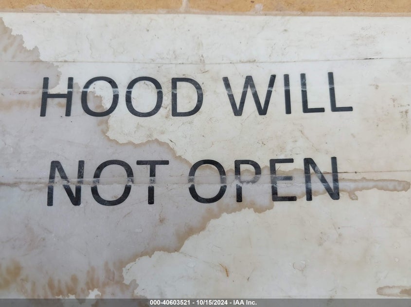 2000 Ford F-250 Lariat/Xl/Xlt VIN: 1FTNX21F9YEA29110 Lot: 40603521