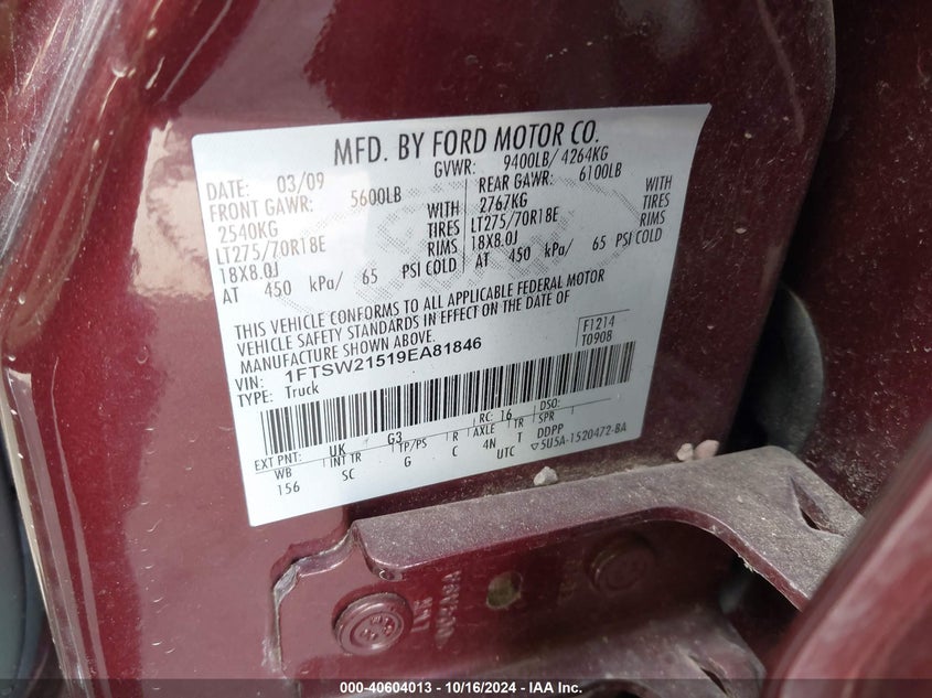 2009 Ford F-250 Fx4/King Ranch/Lariat/Xl/Xlt VIN: 1FTSW21519EA81846 Lot: 40604013