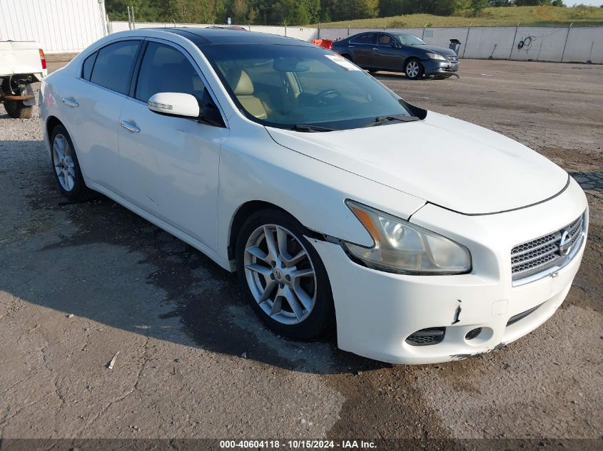 2010 Nissan Maxima 3.5 Sv VIN: 1N4AA5AP4AC801319 Lot: 40604118