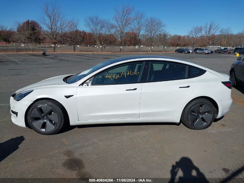 2023 Tesla Model 3 Rear-Wheel Drive VIN: 5YJ3E1EA3PF501868 Lot: 40604266