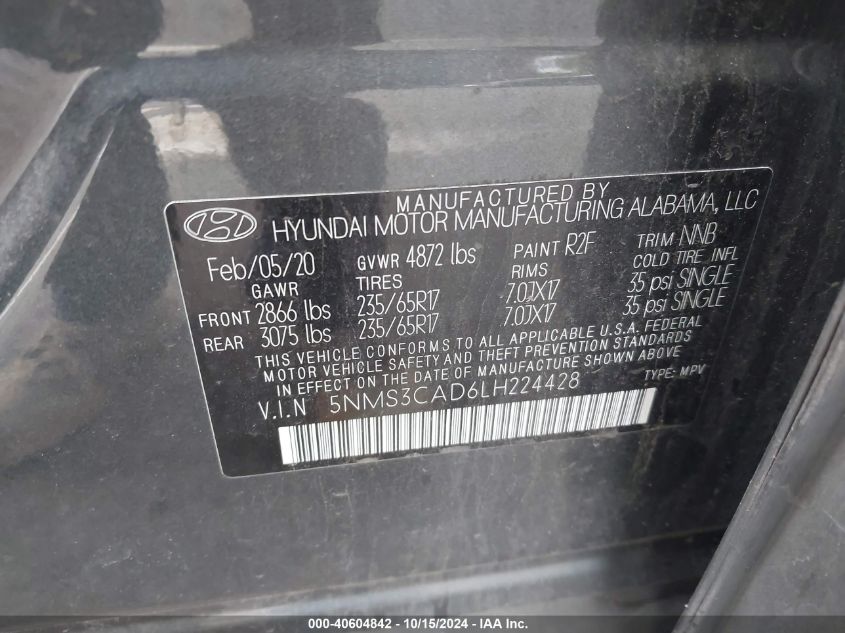 2020 Hyundai Santa Fe Sel VIN: 5NMS3CAD6LH224428 Lot: 40604842