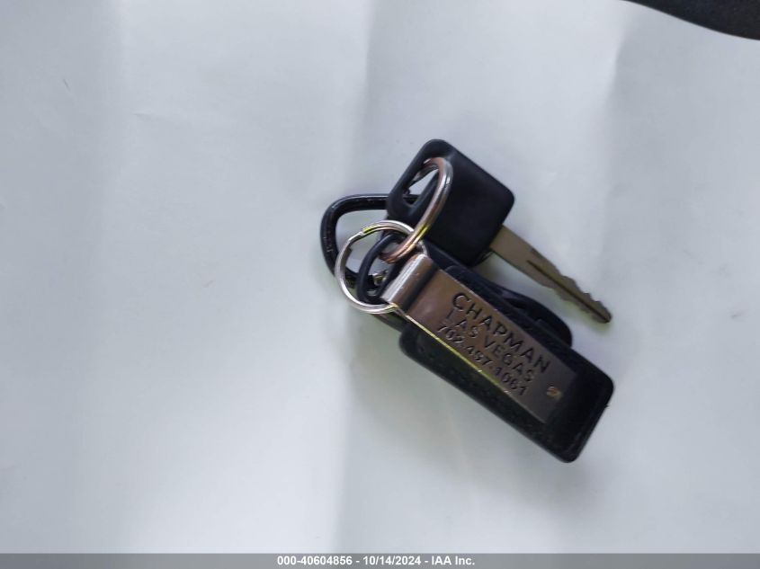 2005 Nissan Murano S VIN: JN8AZ08T65W325981 Lot: 40604856