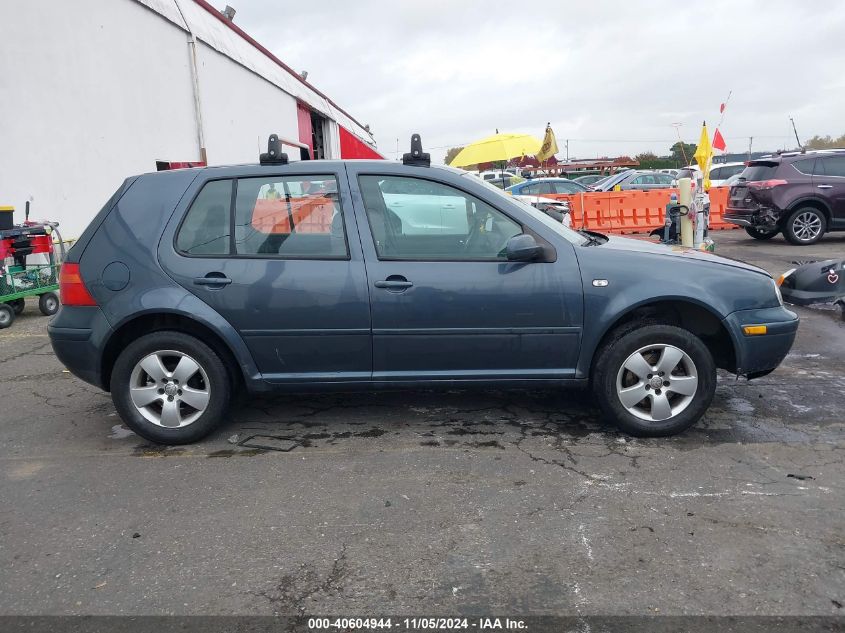 2004 Volkswagen Golf Gls Tdi VIN: 9BWGR61J944017219 Lot: 40604944