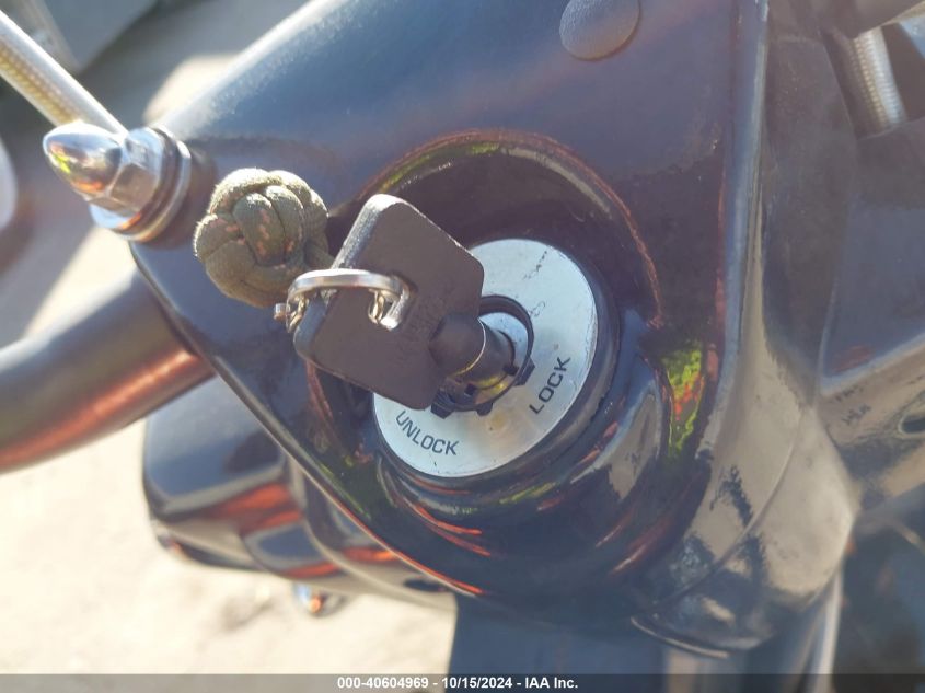 2006 Harley-Davidson Flhpi VIN: 1HD1FHW1367673276 Lot: 40604969