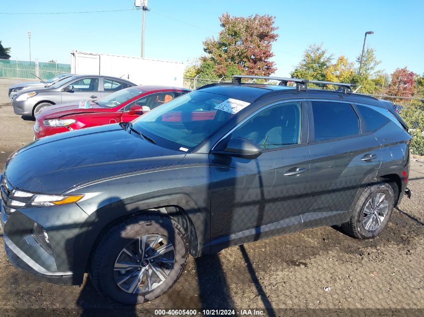 2024 Hyundai Tucson Hybrid Blue VIN: KM8JBCD1XRU206446 Lot: 40605400