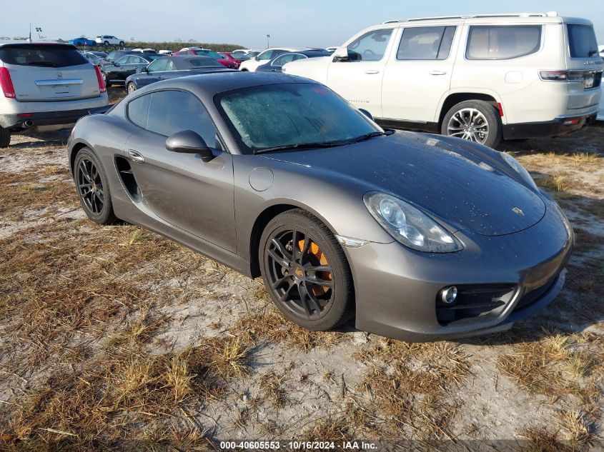 2015 Porsche Cayman VIN: WP0AA2A84FK163250 Lot: 40605553