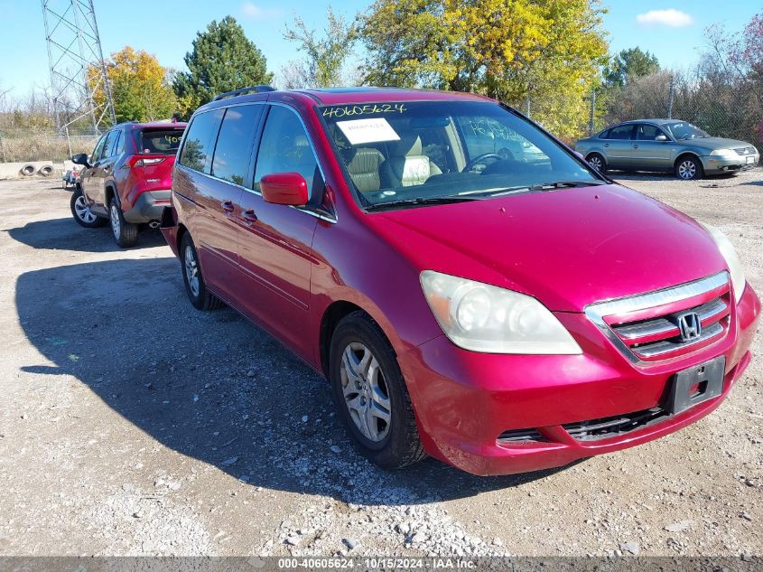 2006 Honda Odyssey Ex-L VIN: 5FNRL38766B436105 Lot: 40605624