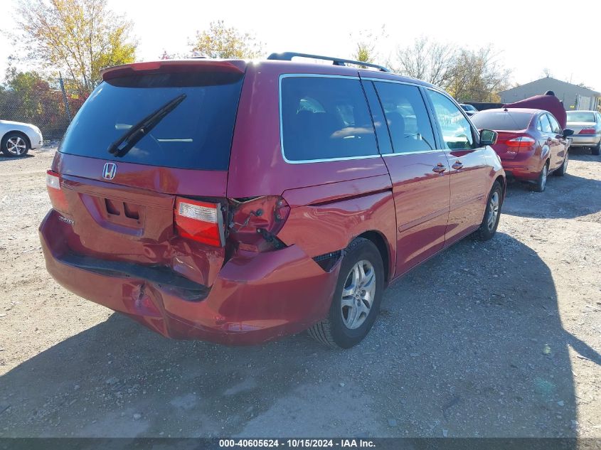 2006 Honda Odyssey Ex-L VIN: 5FNRL38766B436105 Lot: 40605624