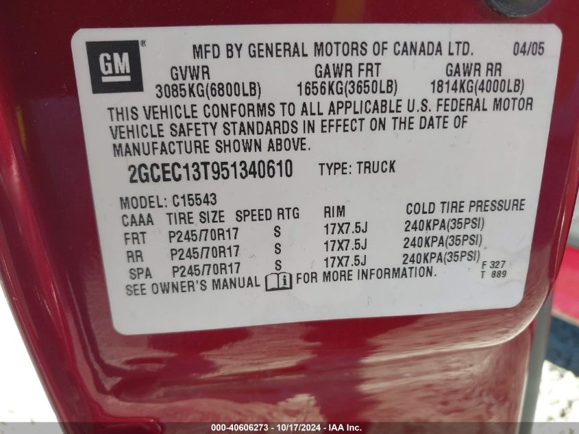 2005 Chevrolet Silverado 1500 Ls VIN: 2GCEC13T951340610 Lot: 40606273