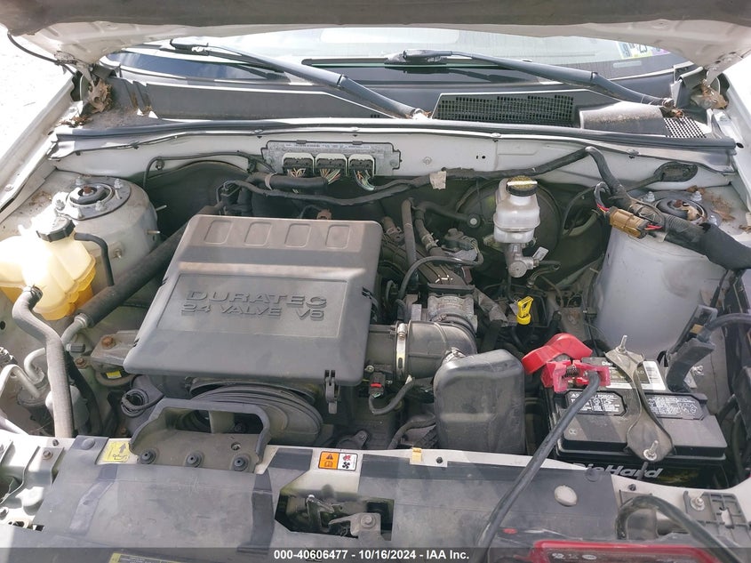 2009 Ford Escape Xlt VIN: 1FMCU93GX9KC65892 Lot: 40606477