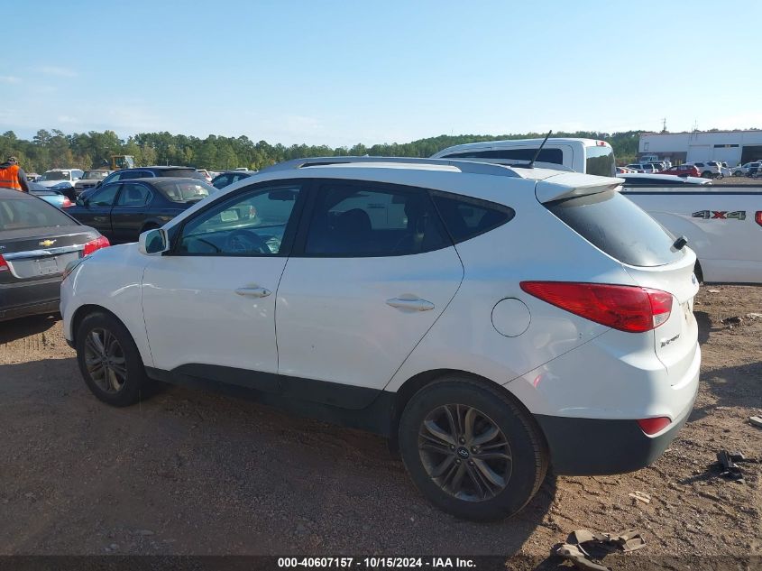 2015 Hyundai Tucson Se VIN: KM8JU3AG1FU007803 Lot: 40607157