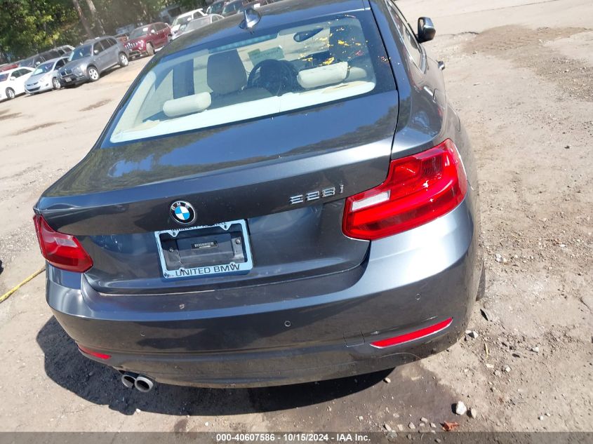 2014 BMW 228I VIN: WBA1F5C5XEV255933 Lot: 40607586