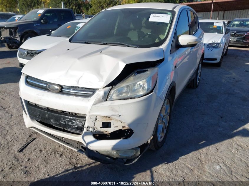 2013 Ford Escape Sel VIN: 1FMCU0HX4DUA95496 Lot: 40607831