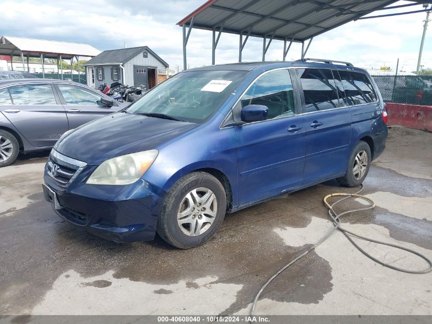 2005 Honda Odyssey Ex-L VIN: 5FNRL38705B022932 Lot: 40608040