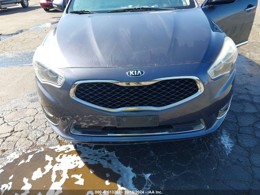 2014 Kia Cadenza Premium VIN: KNALN4D70E5134429 Lot: 40613263