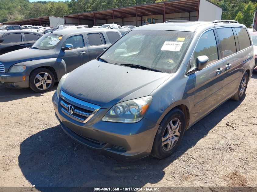 2007 Honda Odyssey Ex-L VIN: 5FNRL38797B413600 Lot: 40613568