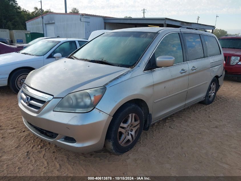 2005 Honda Odyssey Ex-L VIN: 5FNRL38715B113112 Lot: 40613878