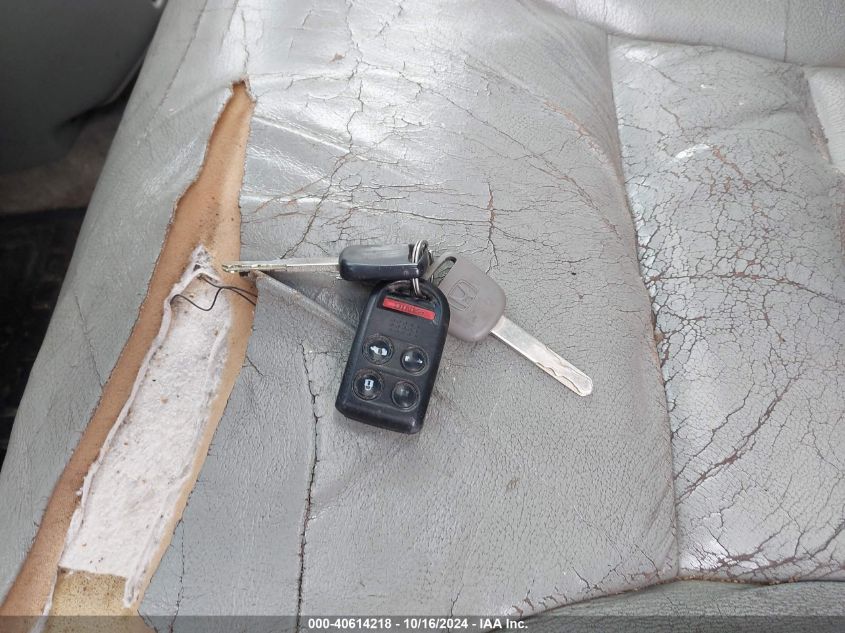 2007 Honda Odyssey Ex-L VIN: 5FNRL38767B459949 Lot: 40614218