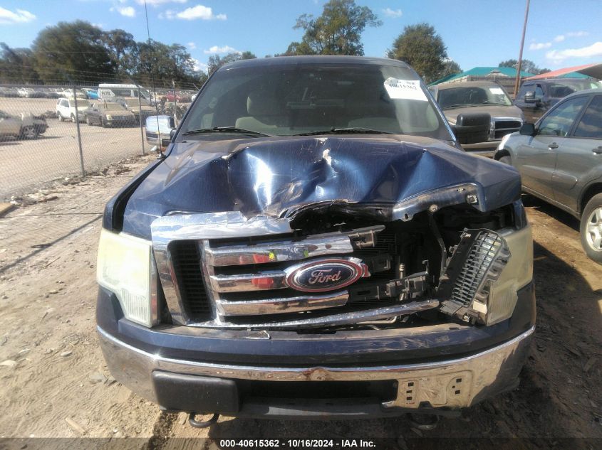 2010 Ford F-150 Xl/Xlt VIN: 1FTEW1E83AFB53219 Lot: 40615362