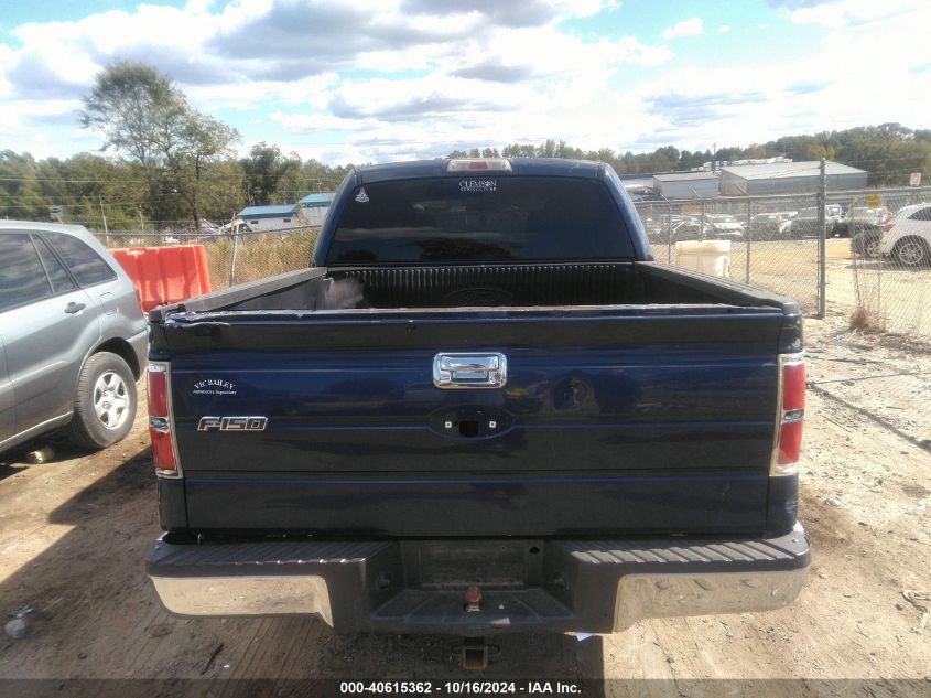 2010 Ford F-150 Xl/Xlt VIN: 1FTEW1E83AFB53219 Lot: 40615362