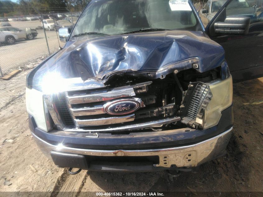 2010 Ford F-150 Xl/Xlt VIN: 1FTEW1E83AFB53219 Lot: 40615362