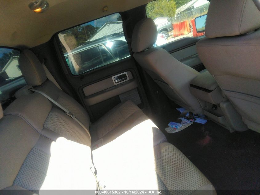 2010 Ford F-150 Xl/Xlt VIN: 1FTEW1E83AFB53219 Lot: 40615362