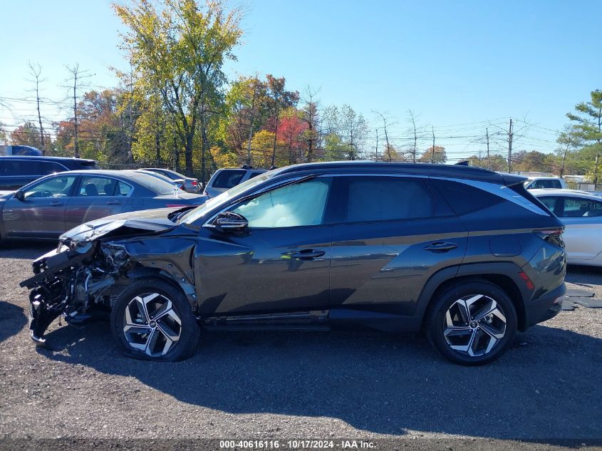 2023 Hyundai Tucson Limited VIN: 5NMJECAE8PH252557 Lot: 40616116