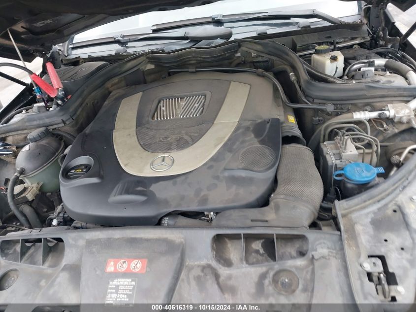 2010 Mercedes-Benz E 550 VIN: WDDKJ7CB6AF048506 Lot: 40616319