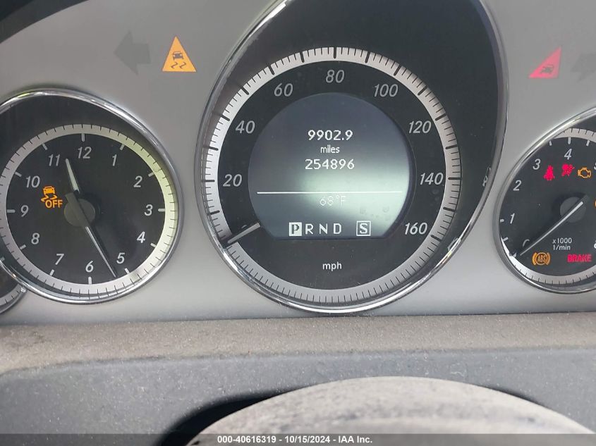 2010 Mercedes-Benz E 550 VIN: WDDKJ7CB6AF048506 Lot: 40616319