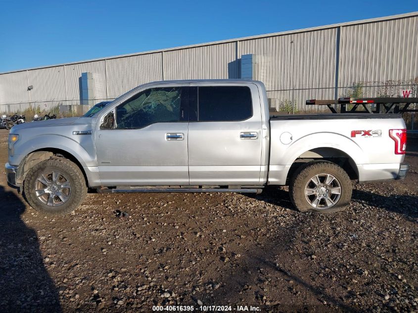 2016 Ford F-150 Xlt VIN: 1FTEW1EG4GFA62783 Lot: 40616395